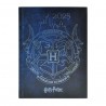 AGENDA DIARIA HARRY POTTER DANPEX HP2412-25-3 ESCUDO HOGWARTS