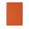 AGENDA DIARIA SHOT DANPEX SH213-25 NARANJA 2025