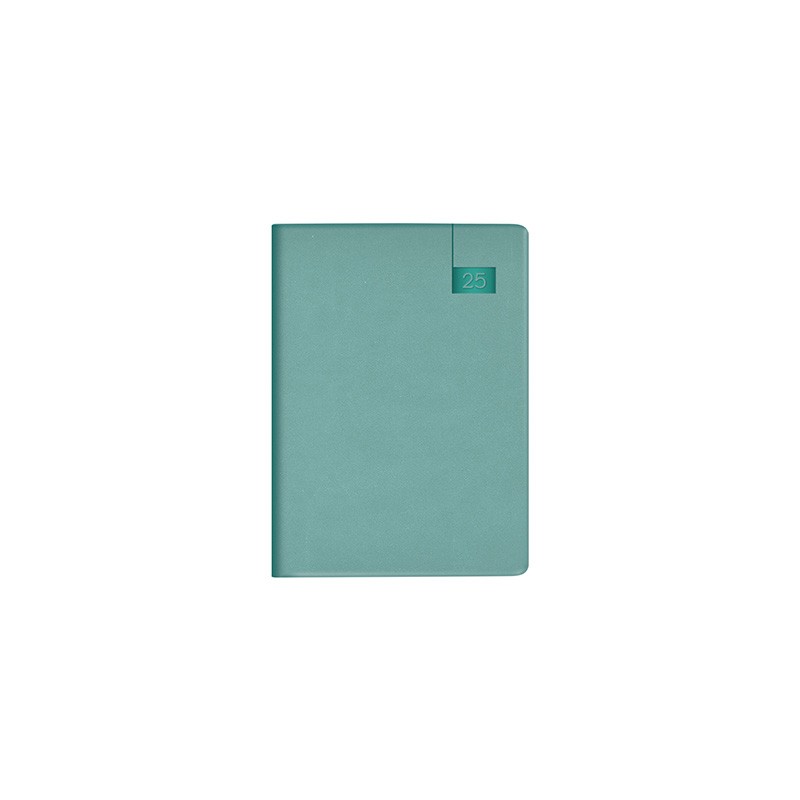 AGENDA DIARIA BRISA MEDITERRANEA DANPEX BM213-25-VE VERDE 2025